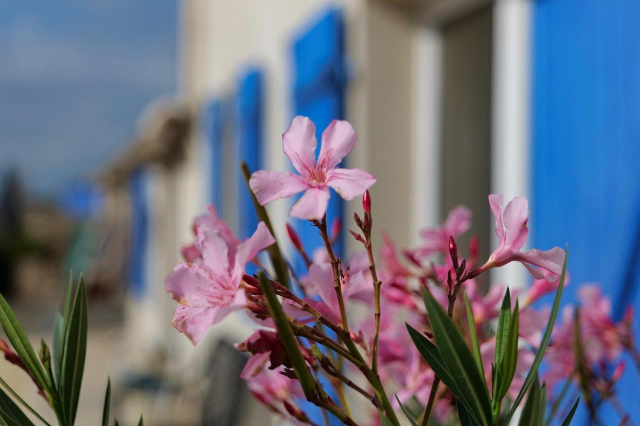 Moulin De Mauzac Bed & Breakfast Saint-Just-Luzac Dış mekan fotoğraf